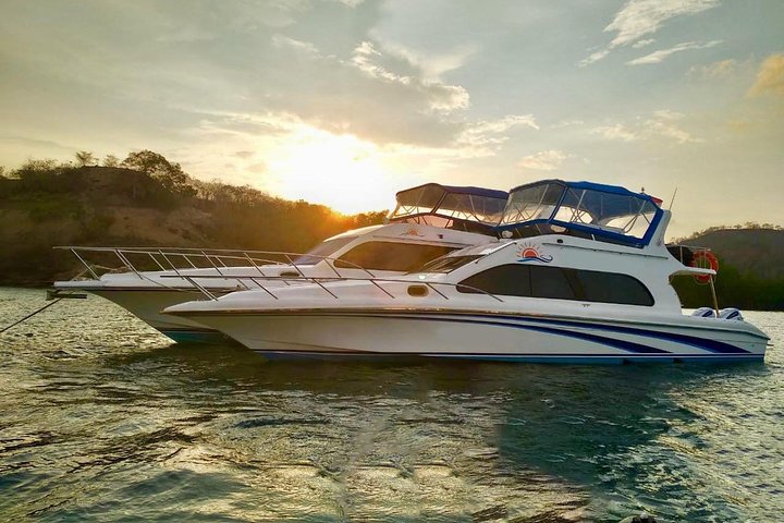 Exclusive Early Bird Komodo Tour: Beat the Crowds by Speed Boat