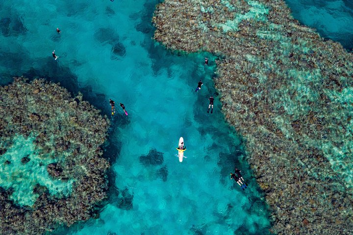 Full-Day Great Barrier Reef Snorkeling from Hamilton Island
