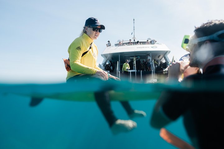 Full-Day Great Barrier Reef Snorkeling from Hamilton Island