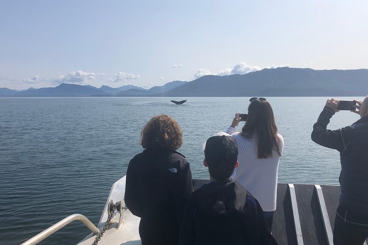 Whale Watching and Bear Search-Icy Strait Point