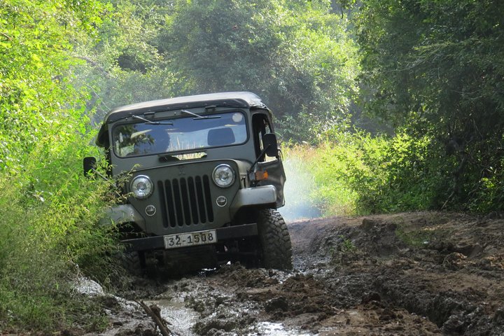 Wasgamuwa National Park Entrance Ticket with Private Safari