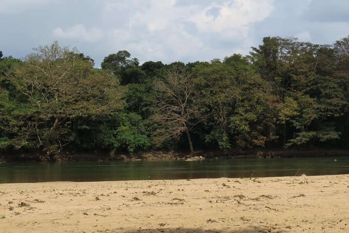 Wasgamuwa National Park Entrance Ticket with Private Safari
