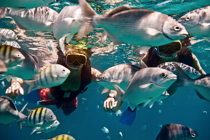 Catamaran and Snorkeling Cruise At Carlisle Bay