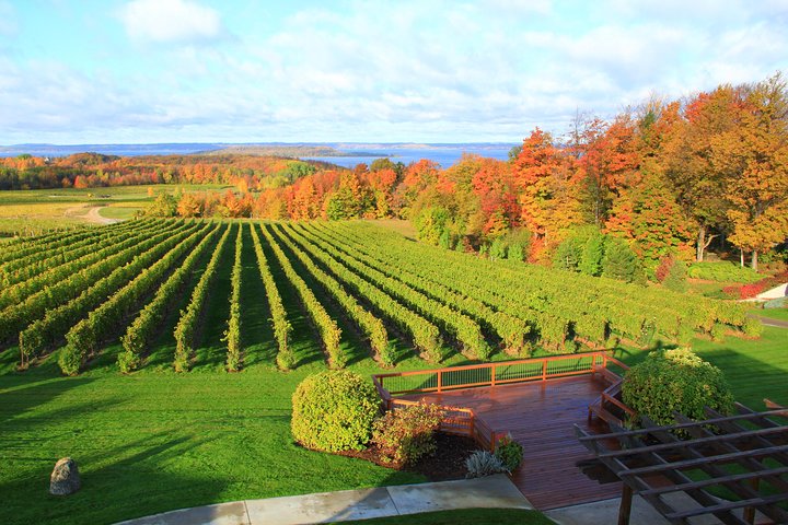 5-Hour Traverse City Wine Tour: 4 Wineries on Old Mission Peninsula