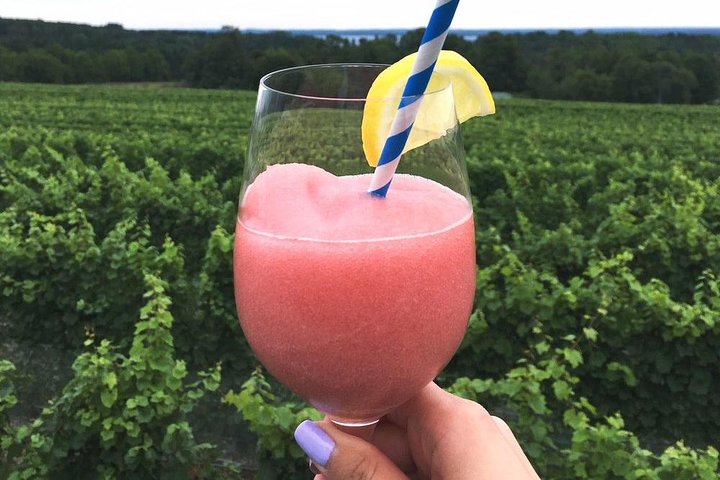 5-Hour Traverse City Wine Tour: 4 Wineries on Old Mission Peninsula