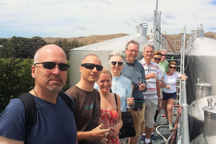 Full Day Winemakers Tour in Marlborough