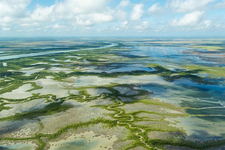 Darwin to Kakadu Day Trip by Air Including Yellow Water Cruise