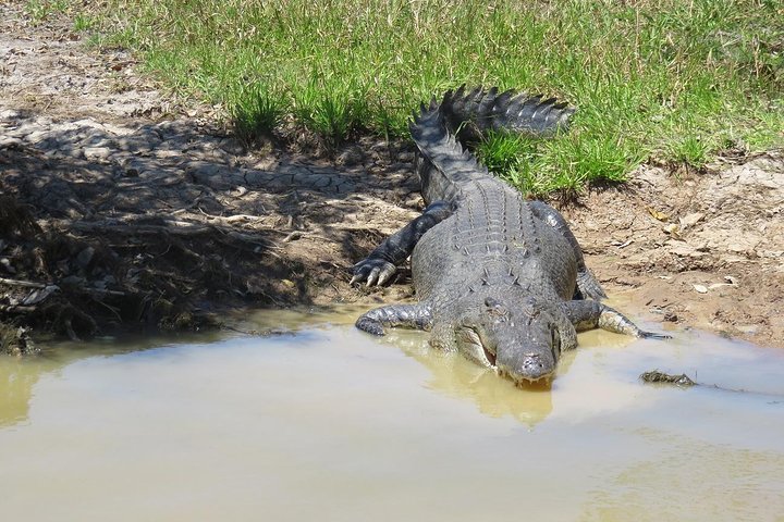 Darwin to Kakadu Day Trip by Air Including Yellow Water Cruise