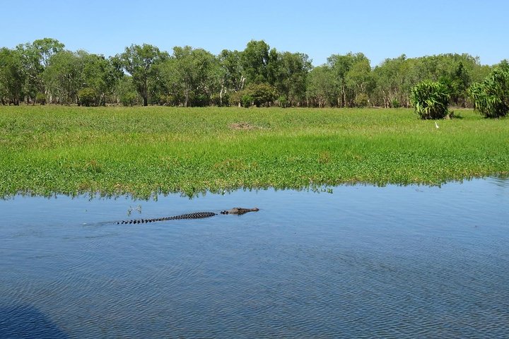 Darwin to Kakadu Day Trip by Air Including Yellow Water Cruise