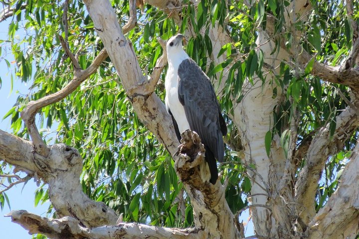 Darwin to Kakadu Day Trip by Air Including Yellow Water Cruise