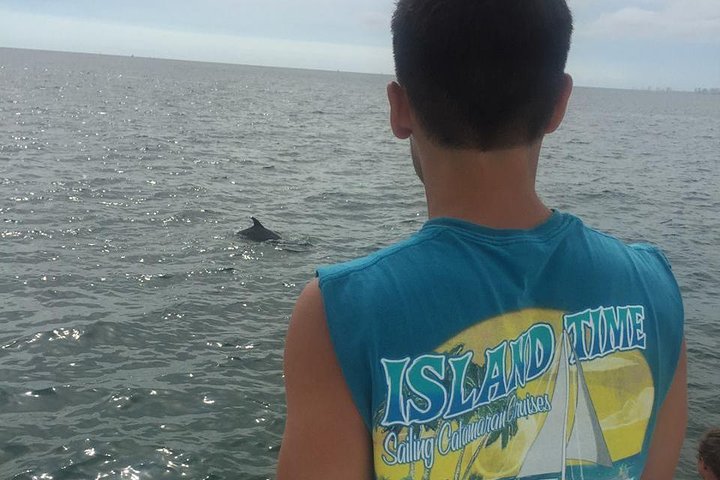 Dolphin & Sightseeing Cruise in Panama City Beach (1.5 hours)