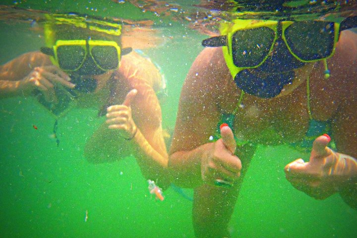 Shell Island Snorkel and Dolphin Catamaran Cruise with Island Time