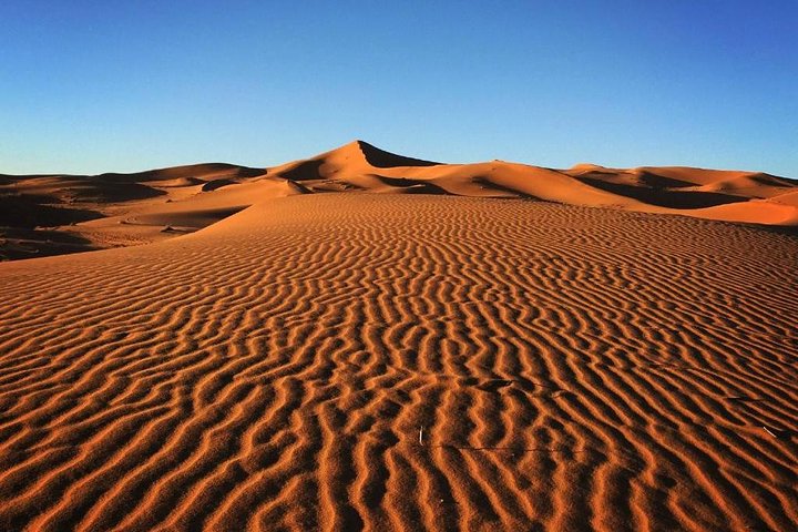 Luxury Camp in Merzouga Desert with Camel Trekking, Vehicule 4WD