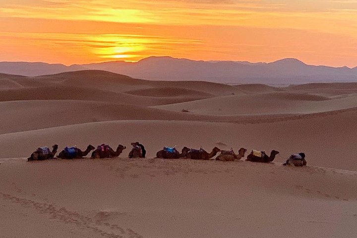 Trip To Merzouga Desert From Erfoud, Sunset Over Dunes Camel Ride