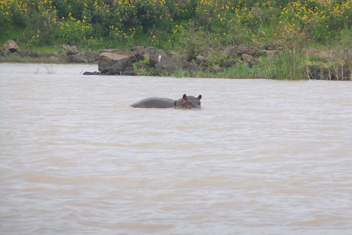 Full day tour in Bahir Dar