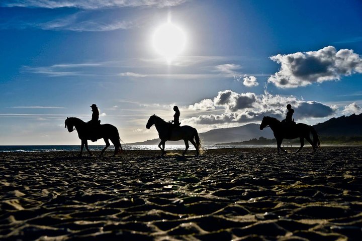 Horseback Riding by the beach or mountain in Tarifa, Spain - 1 to 2 hrs