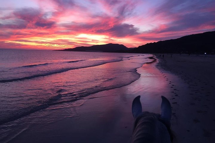 Horseback Riding by the beach or mountain in Tarifa, Spain - 1 to 2 hrs