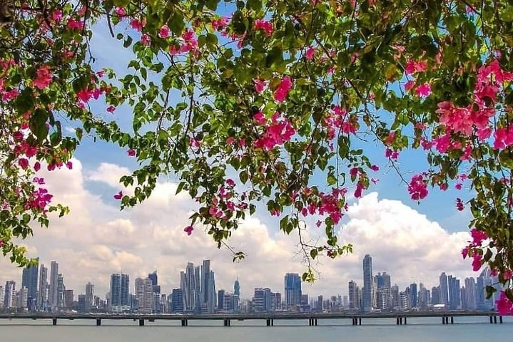 Panama Canal and City Tour Experience