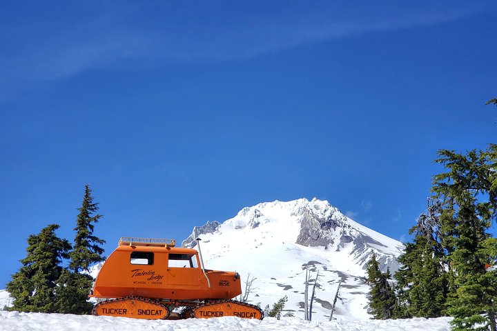 Columbia Gorge Waterfalls and Mt. Hood Tour - Full Day