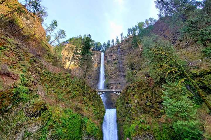 Columbia Gorge Waterfalls and Mt. Hood Tour - Full Day