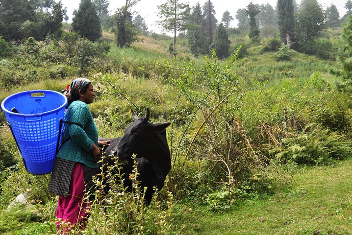 Manali Village Tour