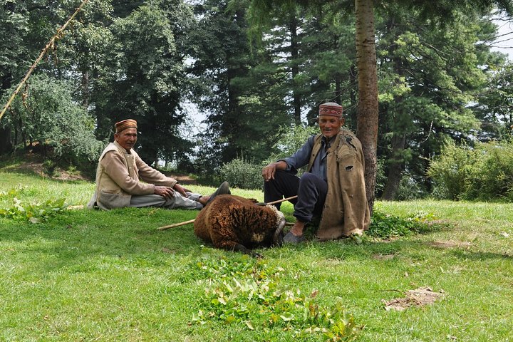 Manali Village Tour
