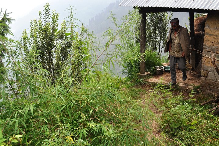 Manali Village Tour