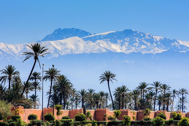 Marrakech Guided Day Trip from Agadir: Medina & Souks Tour