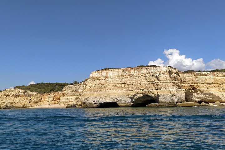 Benagil And Dolphins Tour