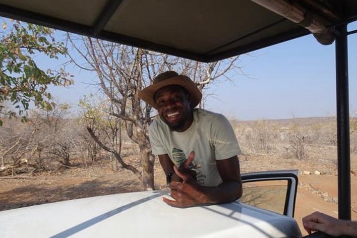 ETOSHA PARK SAFARI with local guides in 9-seater 4x4s