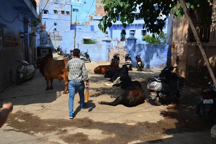 Private Jodhpur Blue City Tour with Hotel Pickup and Drop-off