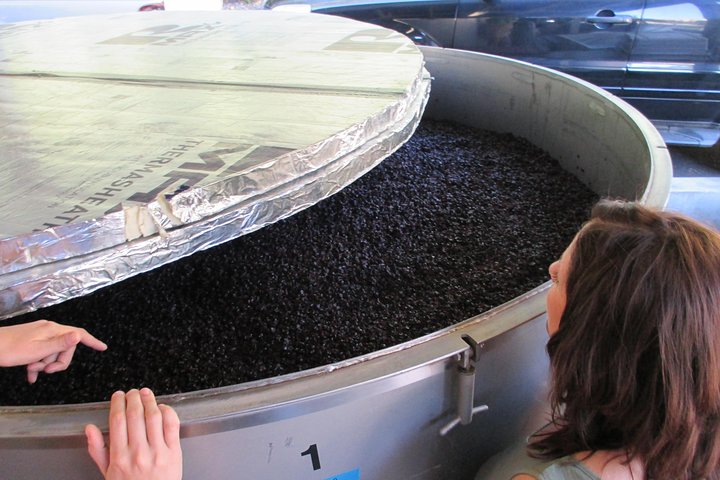 6 Hour Private Customized Wine Tour up to 7 Guests Napa & Sonoma