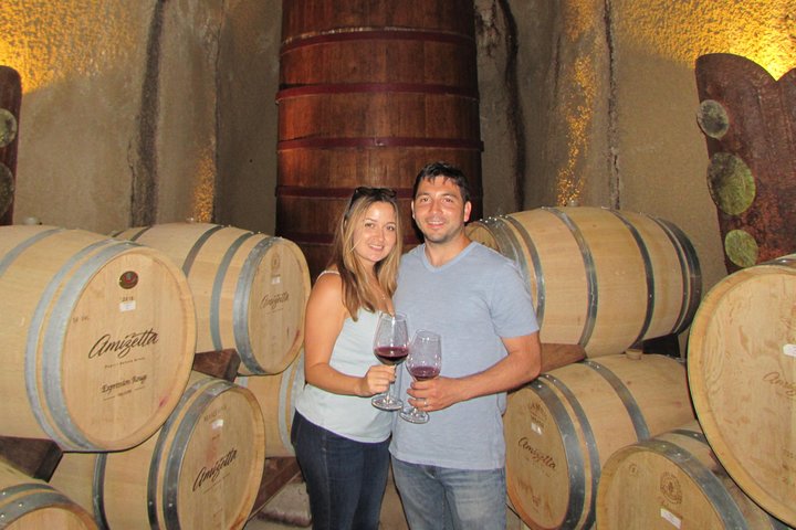8 Hour Private Customized Wine Tour up to 7 Guests Napa & Sonoma