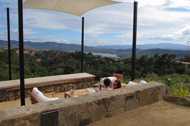 8 Hour Private Customized Wine Tour up to 7 Guests Napa & Sonoma