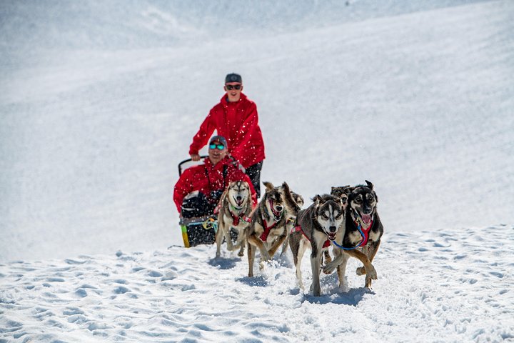 Anchorage Helicopter Glacier Dogsledding Tour