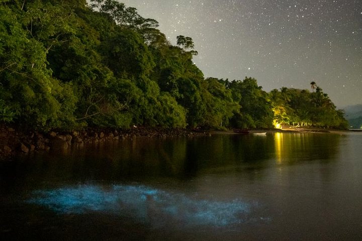 Bioluminescent Kayak Tour