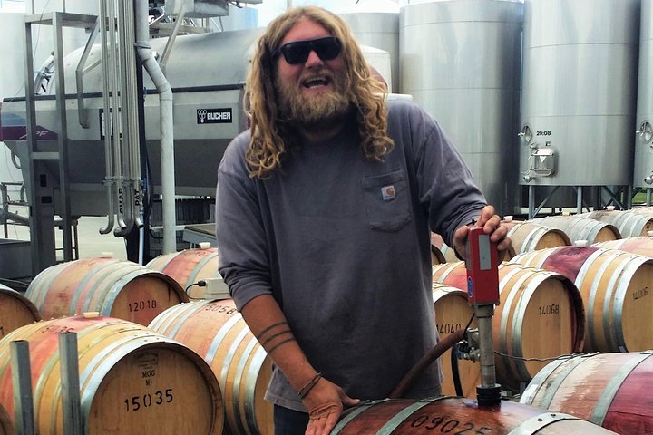 Full Day Winemakers Tour in Marlborough