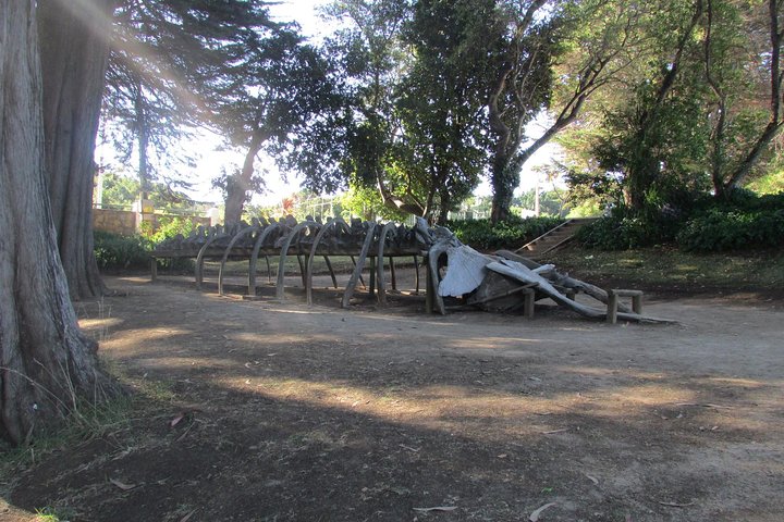 Tour around Biobío River Estuary & Pedro del Río Zañartu Museum