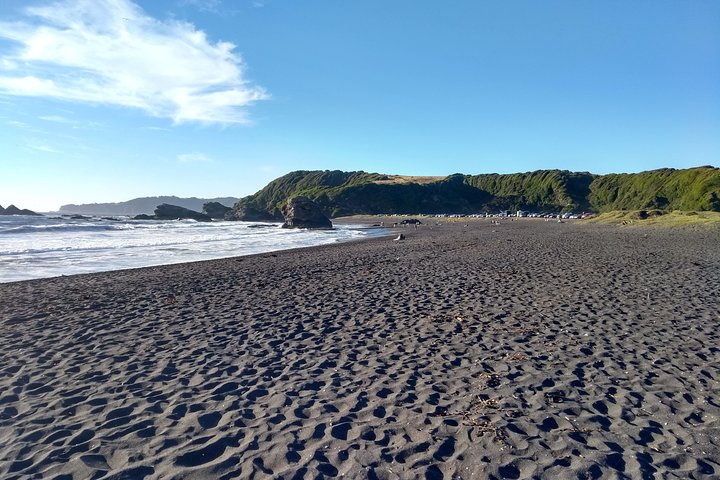 Tour around Biobío River Estuary & Pedro del Río Zañartu Museum