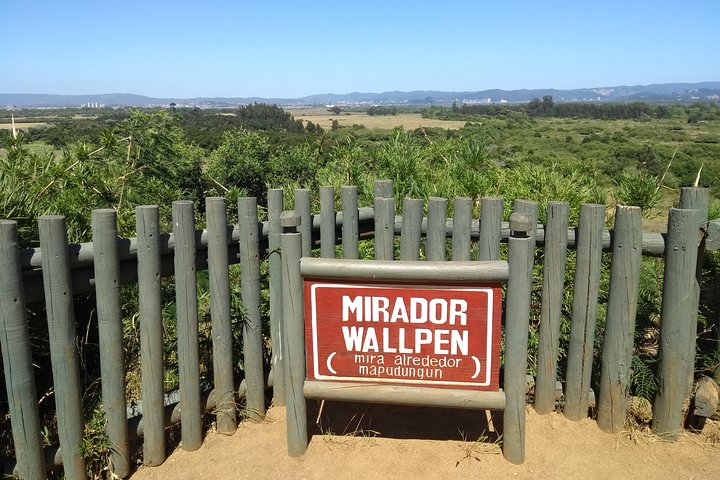 Tour around Biobío River Estuary & Pedro del Río Zañartu Museum