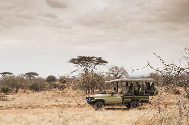 5 Days 4 Night In Ruaha And Udzungwa Mountain National Park