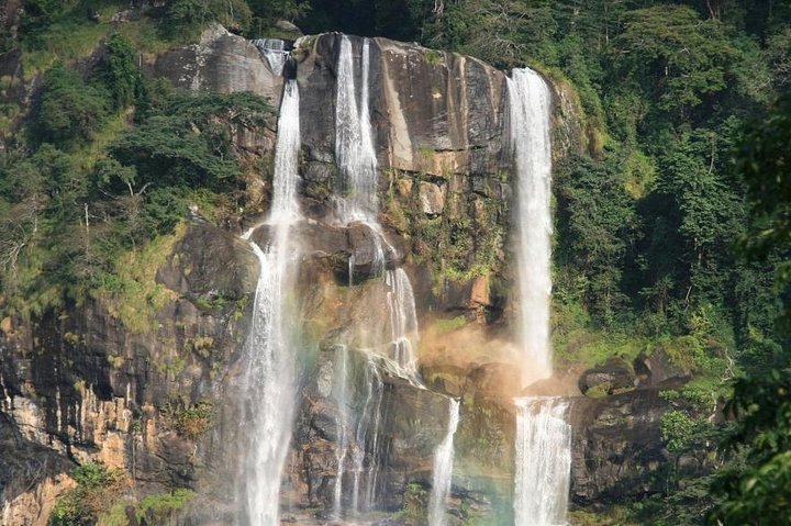 5 Days 4 Night In Ruaha And Udzungwa Mountain National Park