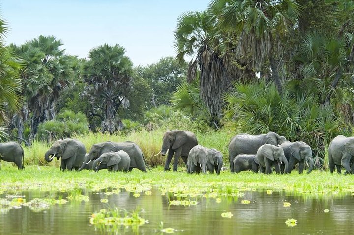 7 Days 6 Night In Southern Of Tanzania