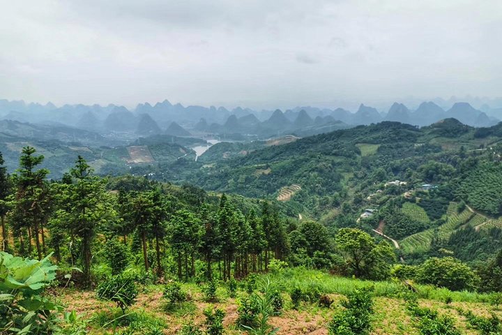 7-Day Guilin & Longji Rice Terraces Bike Adventure