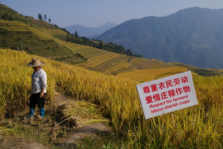 7-Day Guilin & Longji Rice Terraces Bike Adventure