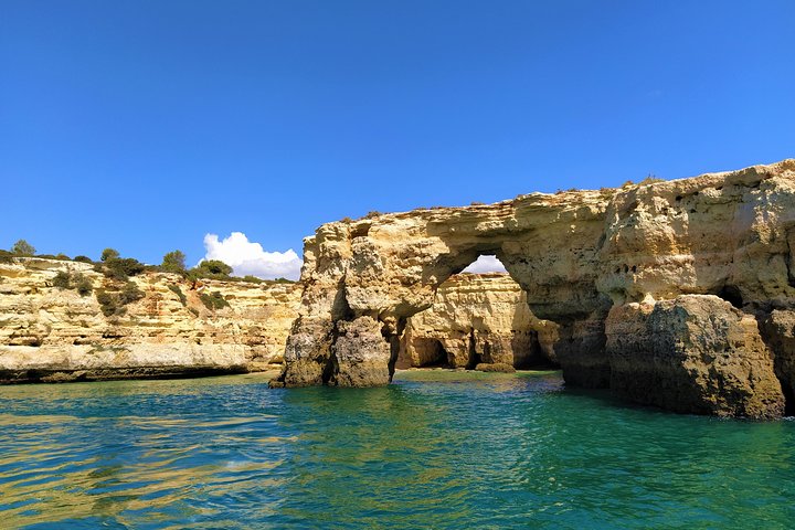 Benagil And Dolphins Tour