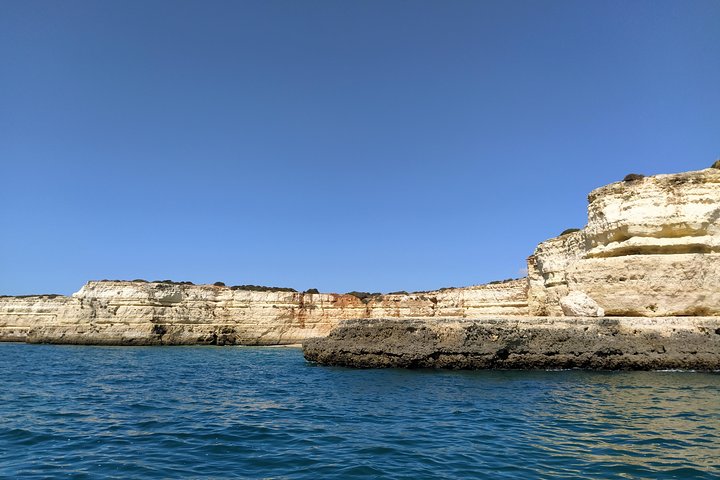 Benagil And Dolphins Tour