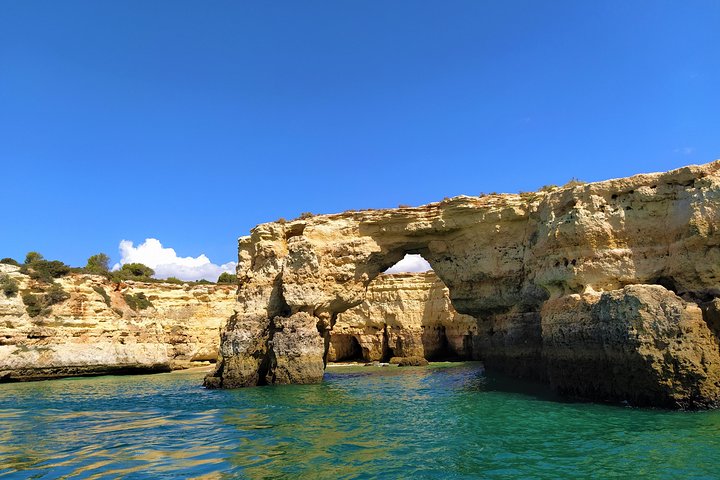 Benagil And Dolphins Tour