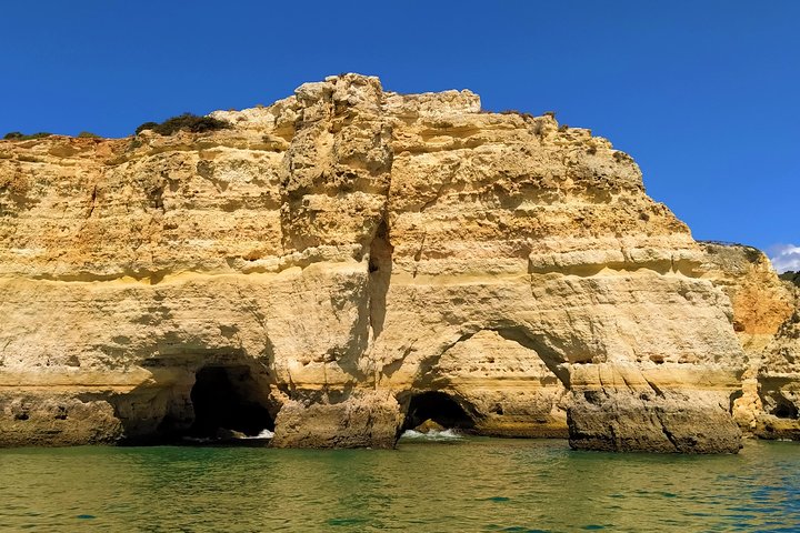Benagil And Dolphins Tour
