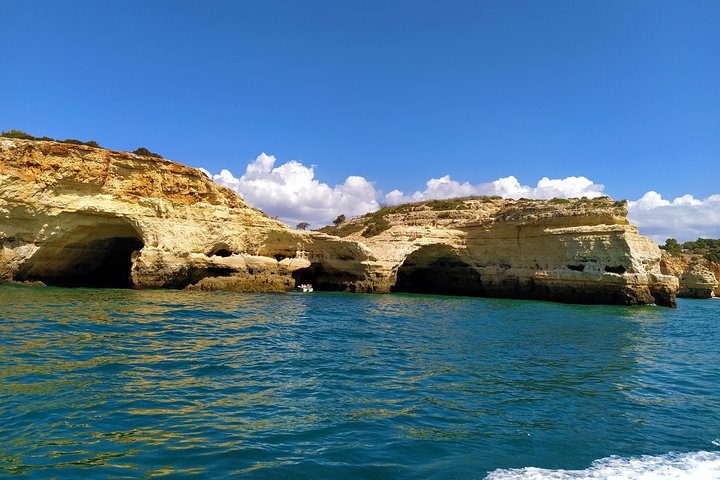 Benagil And Dolphins Tour